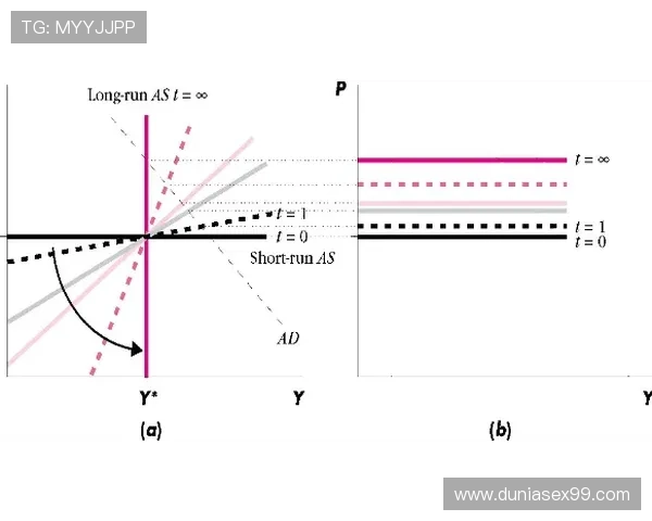 效率波动之谜：弗拉霍维奇的问题到底出在哪